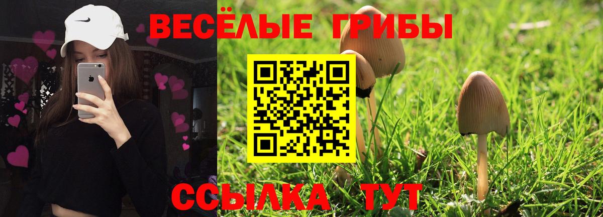 Воскресенск  Галлюциногенные грибы мицелий  Вход с VPN 